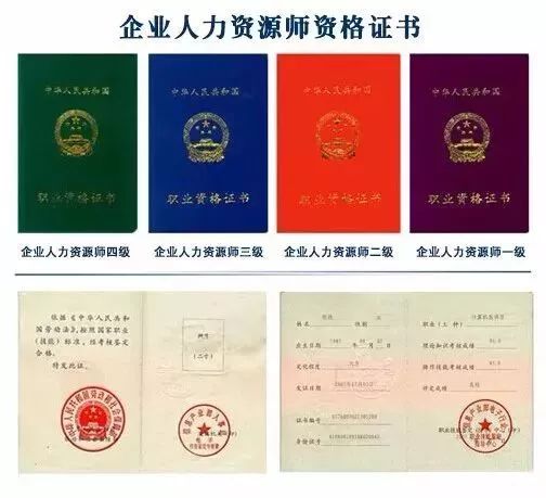 历史真相揭秘之旅，最新考证探寻未知之旅